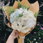 unsplash-image-aiNU4cA4UzQ