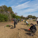 MAR - Lake Seminole Jan 24-12