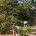 MAR - Lake Seminole Jan 24-23