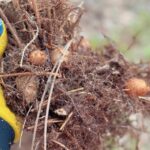 75920859-337C-4F9F-9672-FF9FFE78A7E6