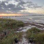 2D16D07B-54B8-4109-AD03-43EED80972B5_4_5005_c