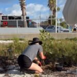 3358379B-C67F-46B7-AF5F-E88EC36A088A_4_5005_c