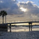 MAR - Gulfport Coastal Planting-10