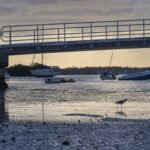 MAR - Gulfport Coastal Planting-11