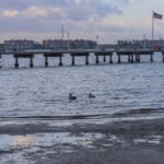 MAR - Gulfport Coastal Planting-2