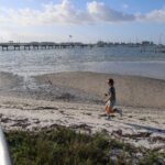 MAR - Gulfport Coastal Planting-34