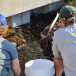 MAR - Gulfport Coastal Planting-39