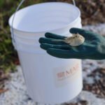 MAR - Gulfport Coastal Planting-42