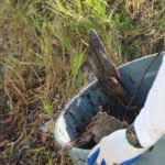 MAR - Gulfport Coastal Planting-59