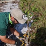 MAR - Gulfport Coastal Planting-72