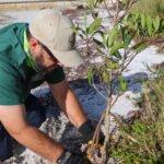 MAR - Gulfport Coastal Planting-73