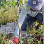 MAR - Gulfport Coastal Planting-74