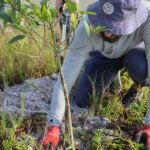 MAR - Gulfport Coastal Planting-75