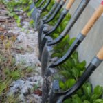 MAR - Gulfport Coastal Planting-8