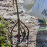 MAR - Gulfport Coastal Planting-85