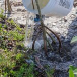 MAR - Gulfport Coastal Planting-87