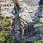 MAR - Gulfport Coastal Planting-88