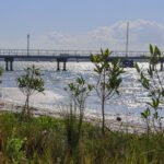 MAR - Gulfport Coastal Planting-96