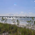 MAR - Gulfport Coastal Planting-97