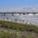 MAR - Gulfport Coastal Planting-99
