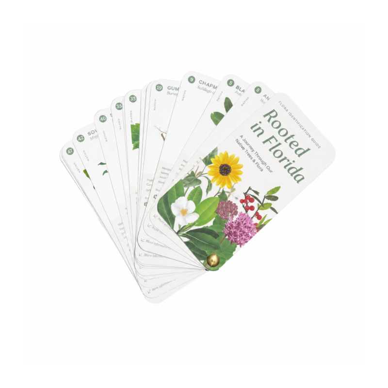 Native Plant Guidebook