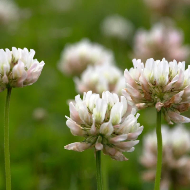 Screenshot+2025-08-21+at+11.27.29 AM