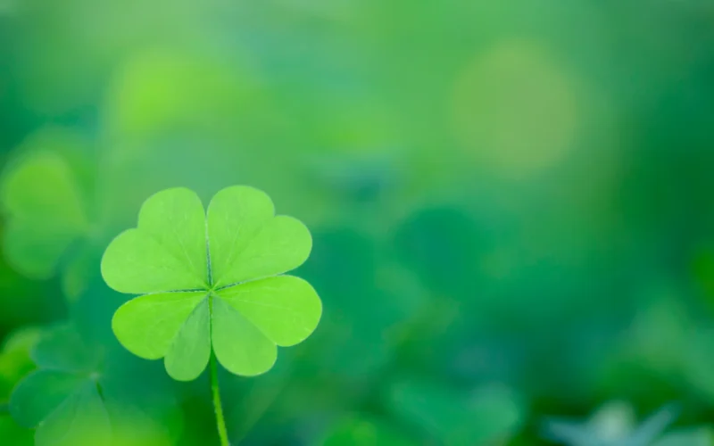 Screenshot+2025-08-21+at+11.28.40 AM