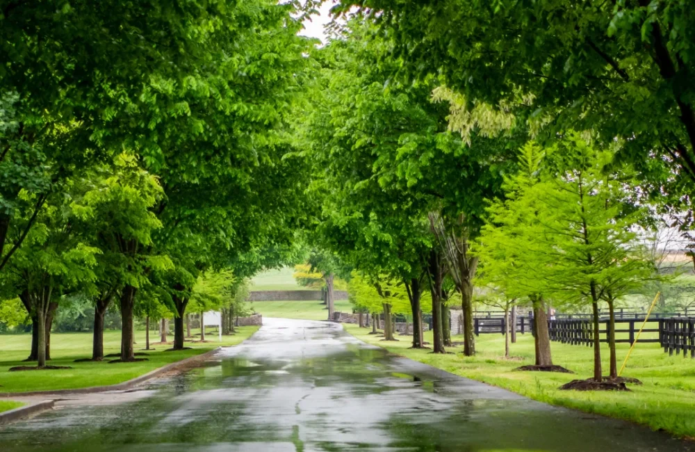 Untitleddesign282929