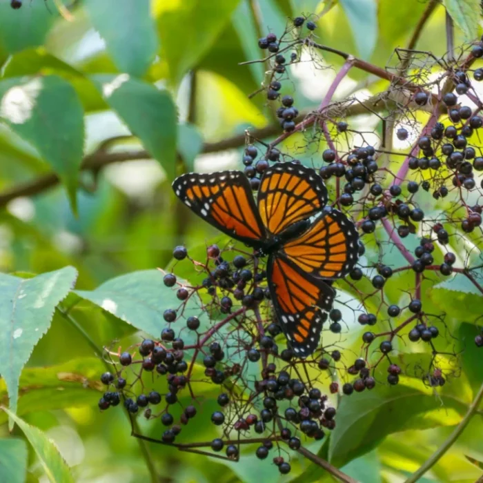 unsplash-image-9QIgZP6QLHE